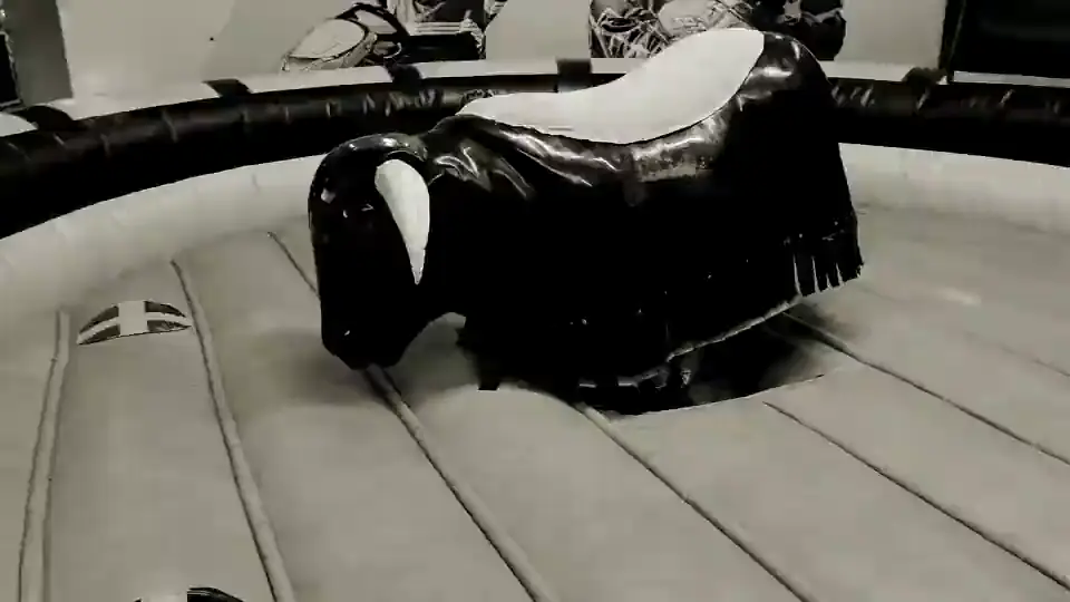 El toro mecánico sobre la colchoneta inflable